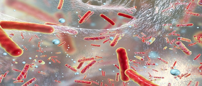 Scoperto antibiotico che uccide i batteri resistenti