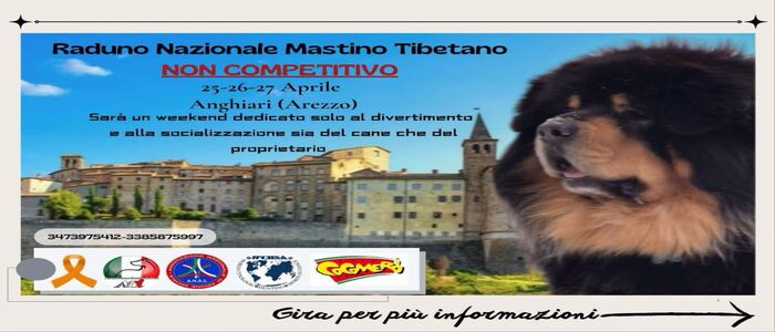 RADUNO NAZIONALE MASTINO TIBETANO -Anghiari Arezzo 25-26-27 Aprile 2025