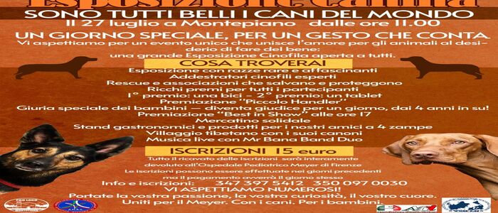 Tutti i cani del mondo per tutti i bambini del mondo Esposizione Canina – Montepiano (Prato), 27 luglio – dalle ore 11:00