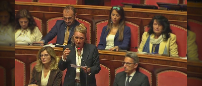 Riportare la Rigenerazione Urbana al centro.  Intervista alla Senatrice M5S Elena Sironi:  dal consumo di suolo ai piani del verde passando per Milano di Nadir Lehemdi.